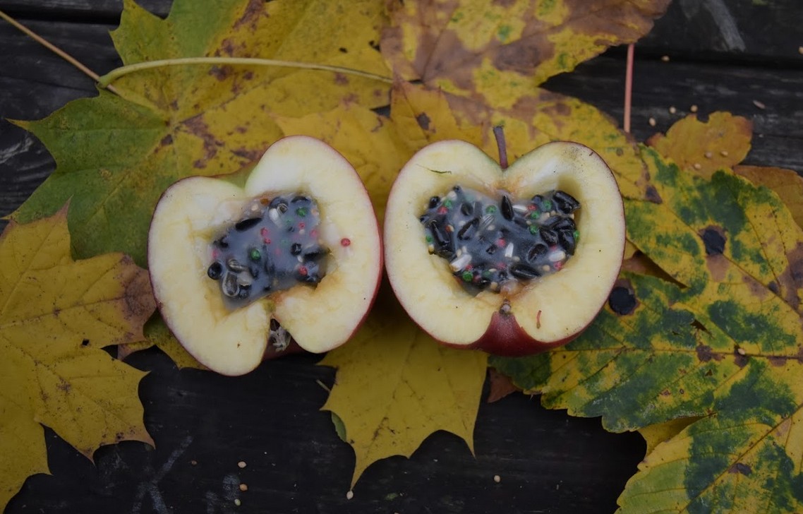 Snímek obrazovky 2025-11-26 094122